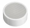 Потолочный динамик IC AUDIO DL-10-165 / T